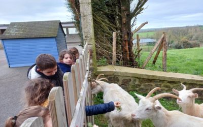 Bonjour tout le monde !